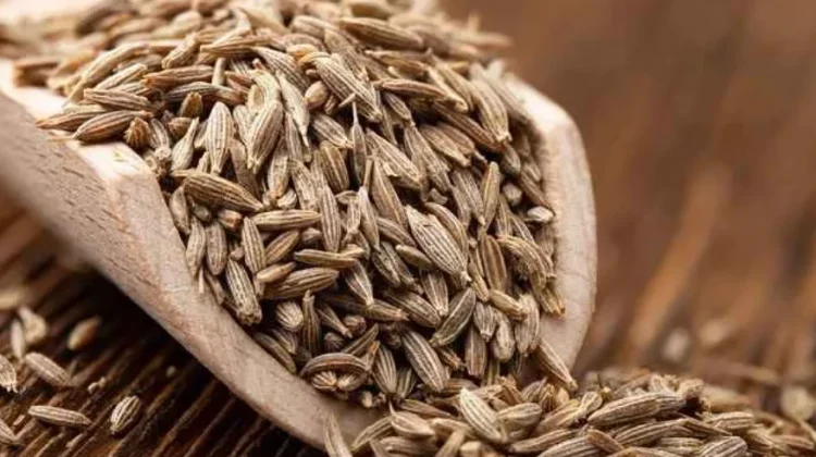 Cumin: The Secret Spice for Metabolic Wellness