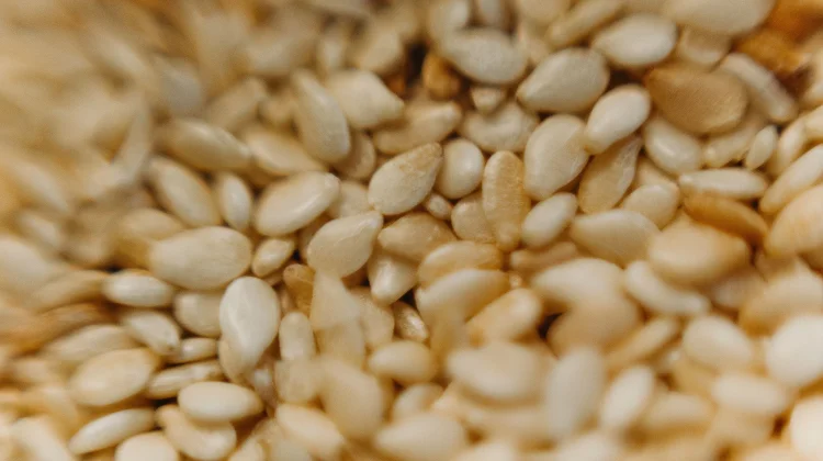 Sesame Seeds: The Tiny Superfood for Strong Bones and Healthy Skin