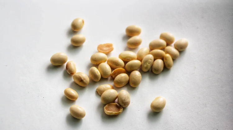 Soybean Benefits for Heart and Women's Health