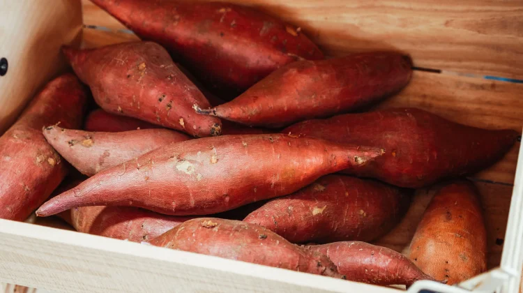 Sweet Potatoes: How They Support Your Vision and Immunity