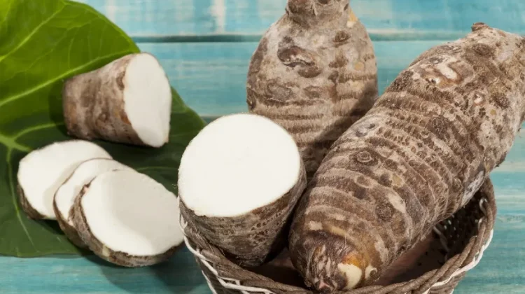 Taro: A Gluten-Free Superfood for Better Digestive Health