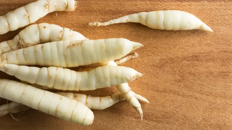 Arrowroot: The Gentle Starch Transforming Gluten-Free Foods