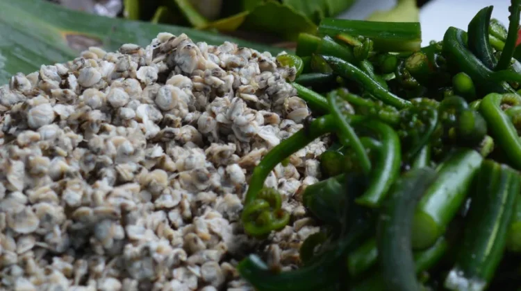 Rendang Lokan Paku: Discover West Sumatra's Coastal Culinary Gem