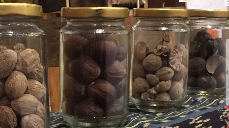Indonesia's Nutmeg: The Spice That Changed World History