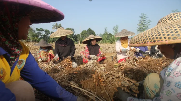 Indonesia's Rich Botanical Wealth for Medicine & Cuisine
