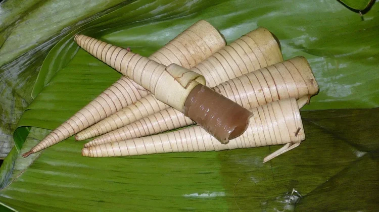 8 Must-Try Traditional Indonesian Snacks Across Regions