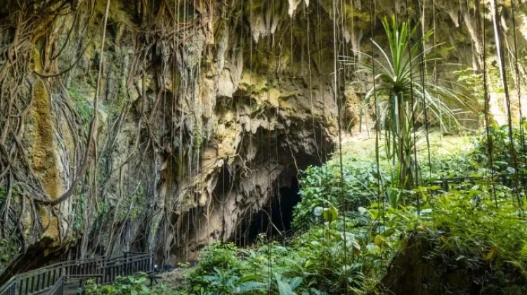 Exploring World War II History at the Japanese Cave in Biak