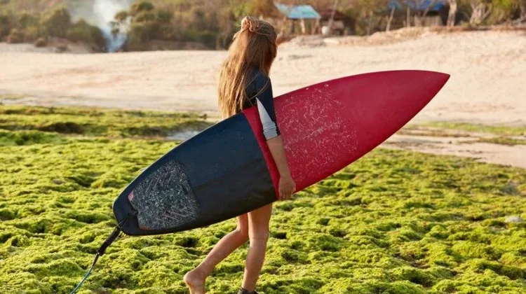 Treasure Island: Indonesia’s Secret Right-Hand Surf Wave