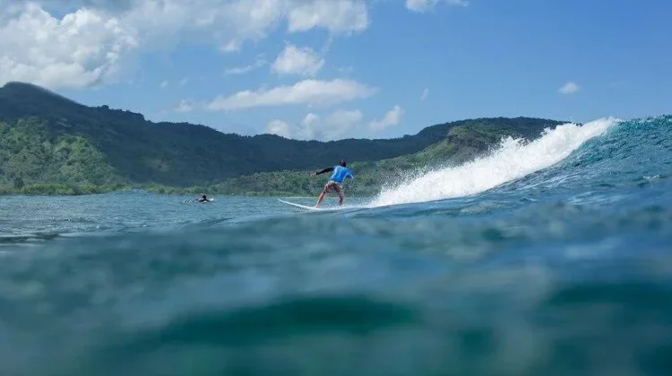 Fish Face Offers Gentle Left-Hand Waves in North Sipora