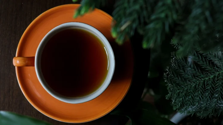 Black Tea: Oxidized Tea Studied for Heart Health, Gut Balance & Polyphenol Benefits