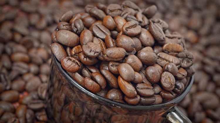 Robusta Coffee: The High-Caffeine, Antioxidant-Rich Bean