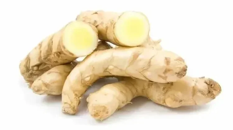 Indonesian White Turmeric in Jamu and Digestion