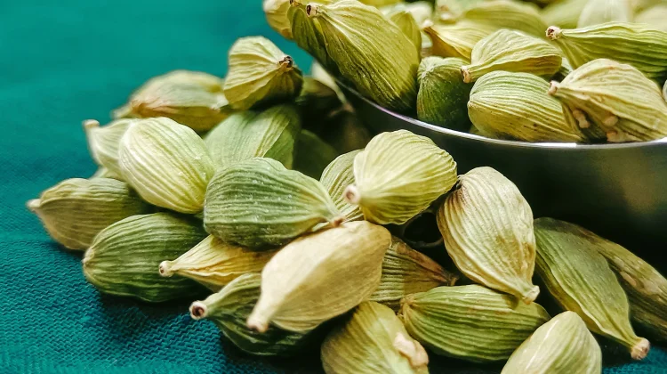 Green Cardamom for Digestion and Metabolic Wellness