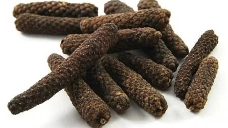 Piper Longum: Indonesian Long Pepper for Digestion, Metabolism & Medicine