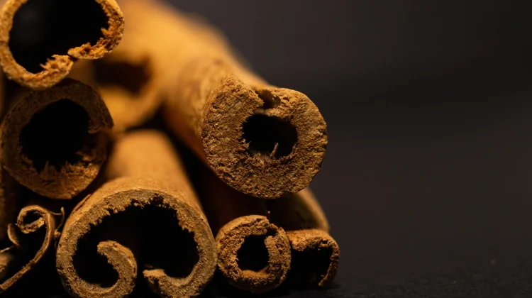 Cinnamomum Cassia for Blood Sugar Regulation and Metabolic Health