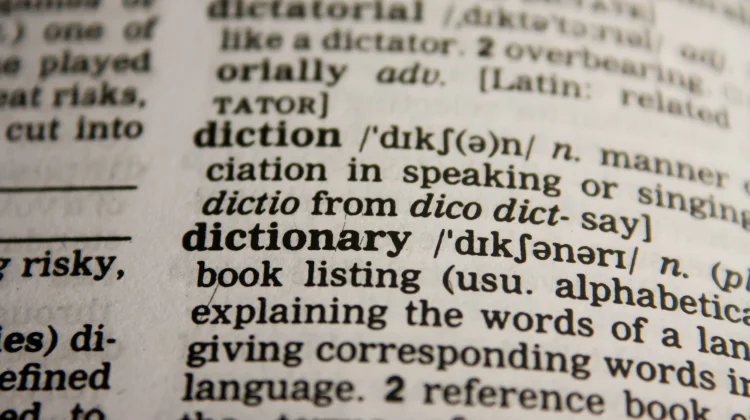 International Translation Day Highlights the Role of Language Professionals