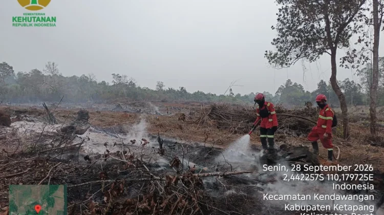 BNPB: Unextinguished Land Fires in Six Provinces Down by 62.29 Hectares