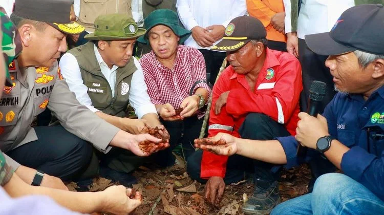 Minister: National Peatland and Mangrove Management Agency to be Established Soon