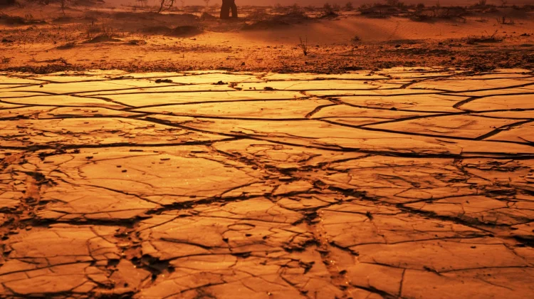 August 2026 was Indonesia’s Second-Driest August since 1991