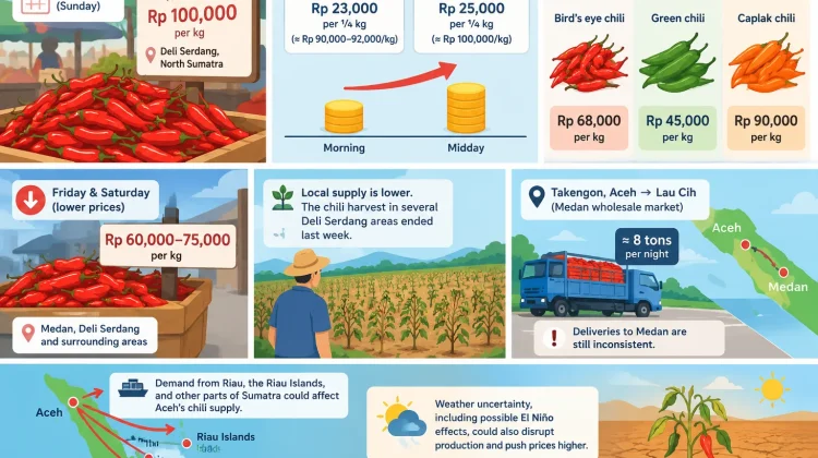 Chili Prices Rebound to 100,000 Rupiah