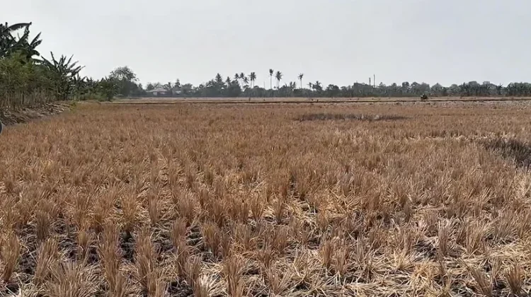 Government Ensures Water Availability Until Rainy Season