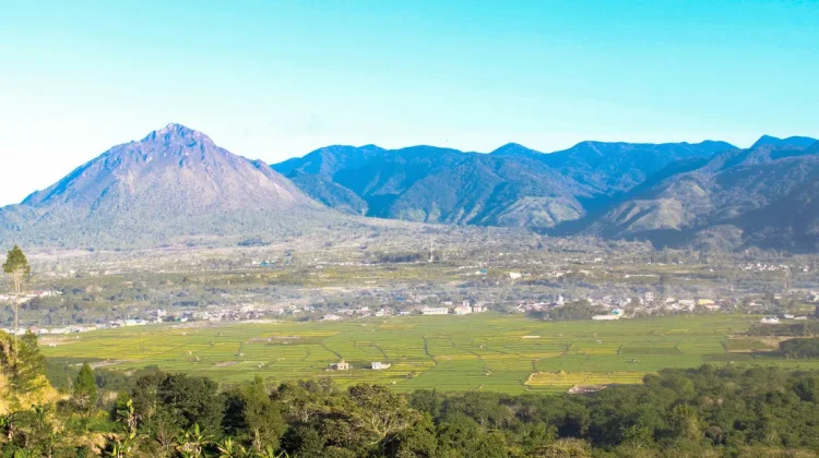 Bener Meriah, One of the Main Gayo Coffee Producing Areas