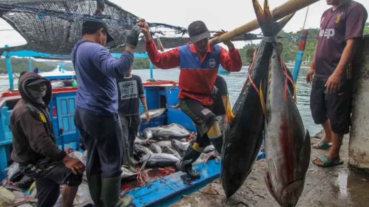 President Targets Completion of 1,000 Fishermen’s Villages by 2026