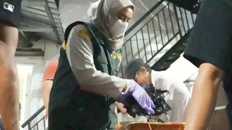 Quarantine Authorities Thwart Wild Animal Meat Smuggling