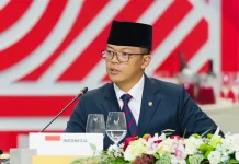 Indonesian Minister Addresses UN Security Council on Gaza Recovery