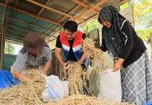 Pertamina Turns Farm Waste into Energy in West Sumatra