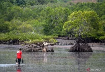 Indonesia Strengthens Inter-Ministerial Cooperation on Climate Change