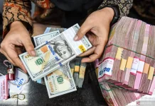 BI Urges Calm, Warns Against Panic Dollar Buying