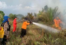 Sukamara Battles Early 2026 Land Fires Amid Rising Hotspots