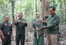 Jambi Quarantine Releases Seized Birds to Wild