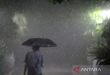 Asian Monsoon Surge Triggers Extreme Weather Alerts Across NTB