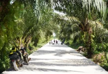 North Pontianak Receives Major Infrastructure and Sustainability Boost
