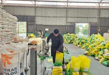 Indonesia Launches First Rice Export to Saudi Arabia for Hajj Pilgrims