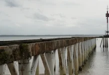 Universities to Support Research for Indonesia's Giant Sea Wall Plan Development