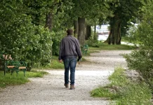 A 30-Minute Daily Walk Effectively Relieves Stress and Improves Mood