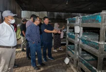 Indonesia Encourages Use of Maggots to Address National Waste Crisis