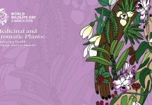 World Wildlife Day 2026, Discovering the World's Medicinal and Aromatic Plants