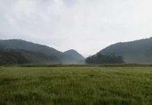 Camping and Natural Relaxation at Kampung Cai Rancaupas