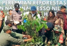 Forestry Minister Launches Reforestation at Tesso Nilo to Save Elephants