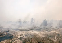Indonesia Strengthens Forest Fire Preparedness Ahead of the 2026 Dry Season
