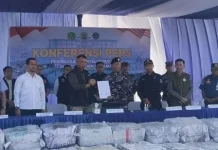 Government Seizes 200 Tons of Illegal Mangrove Charcoal in Riau Waters