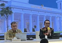 Indonesia Postpones D-8 Summit