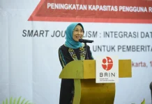 DPR: AI Must be a Supporting Tool for Journalists
