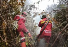 Government Deploys Manggala Agni to Secure Sumatra Mudik Routes from Forest Fires