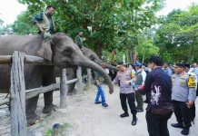 Police Chief and Member of Parlement Inspect Elephant Conservation at Tesso Nilo