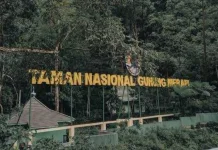Government Prepares Eco-Friendly Nature Tourism for 2026 Eid Holidays